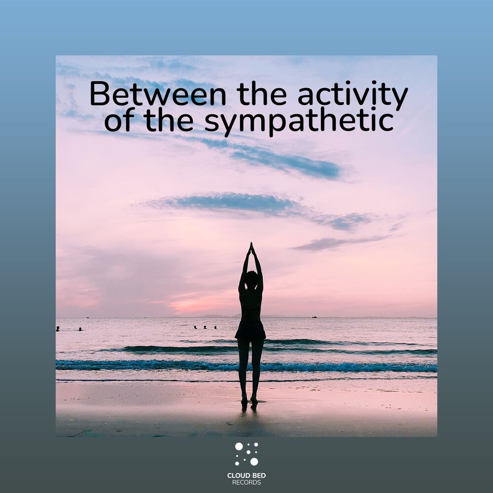 Picture of Between the activity of the sympathetic