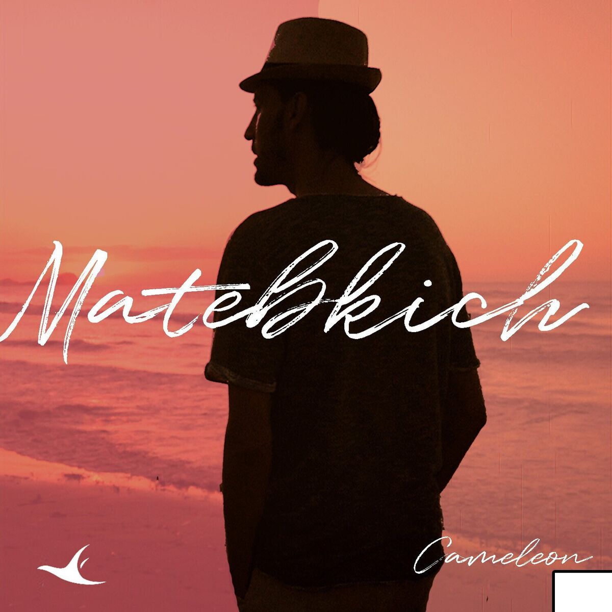Album cover of Matebkich