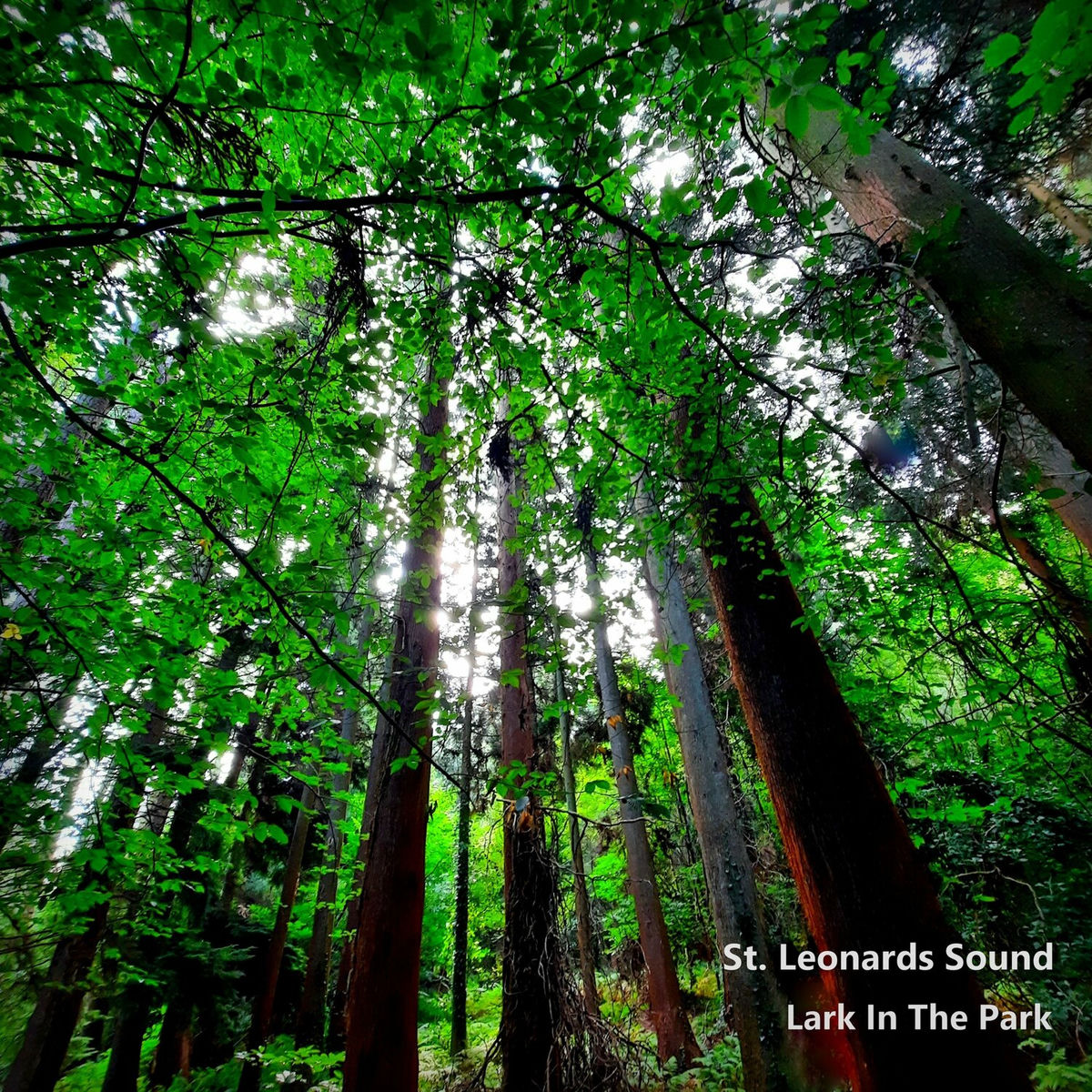 Album cover of Lark In The Park