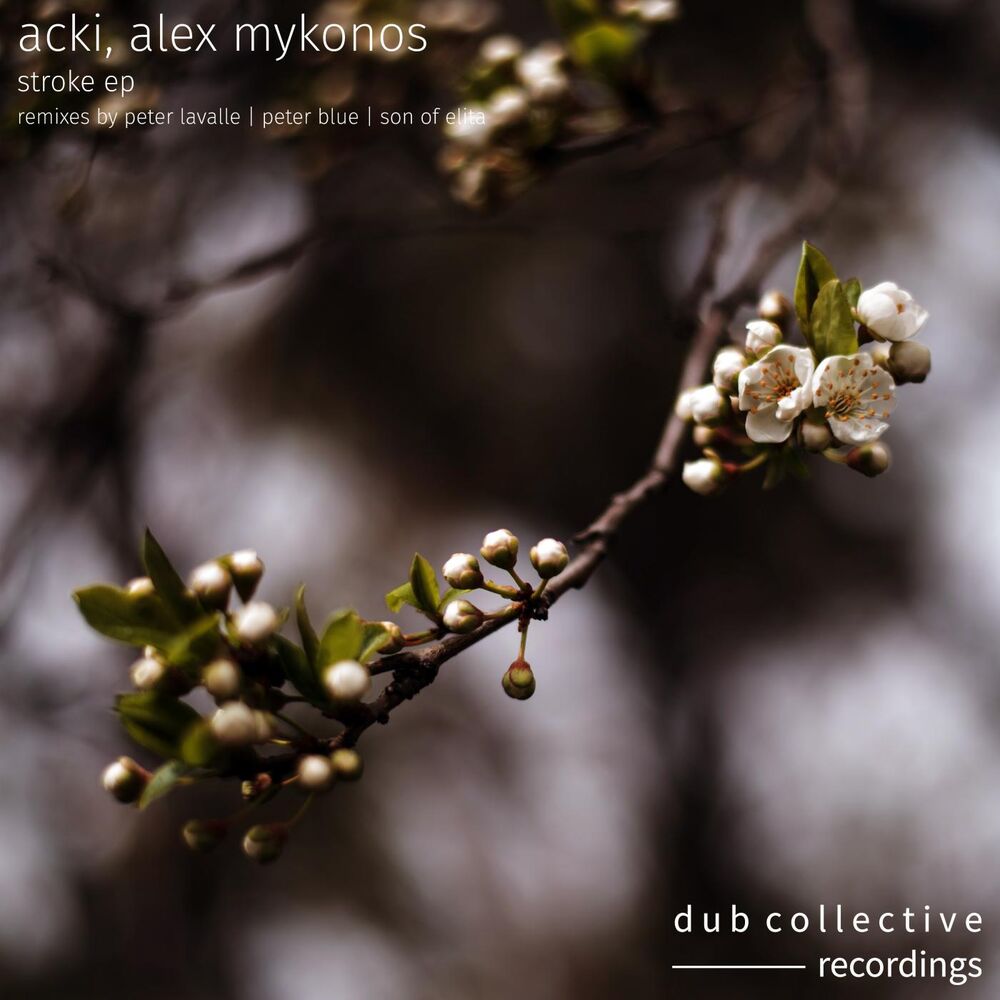 Picture of Stroke EP