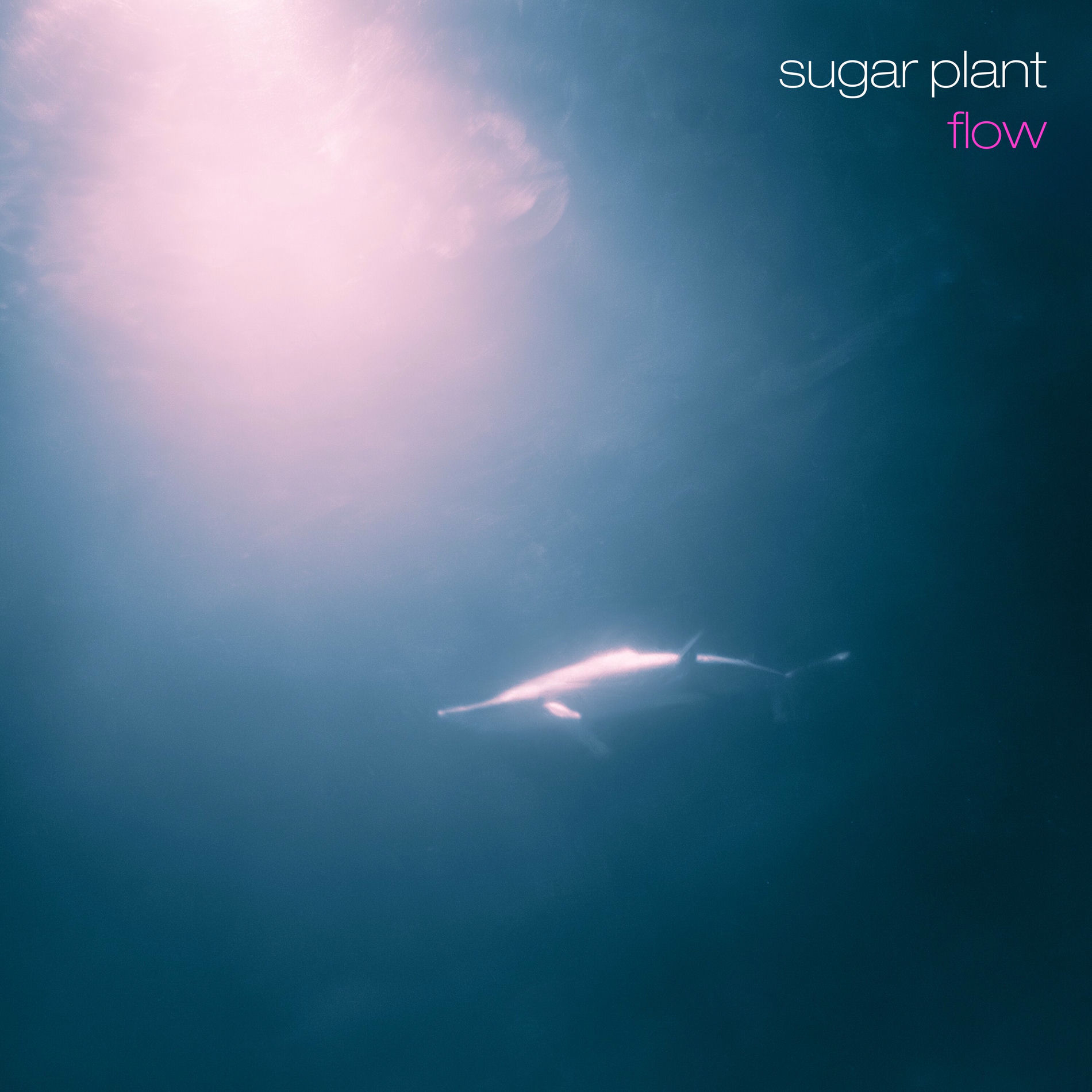 Sugar Plant - DRY FRUIT | Deezer