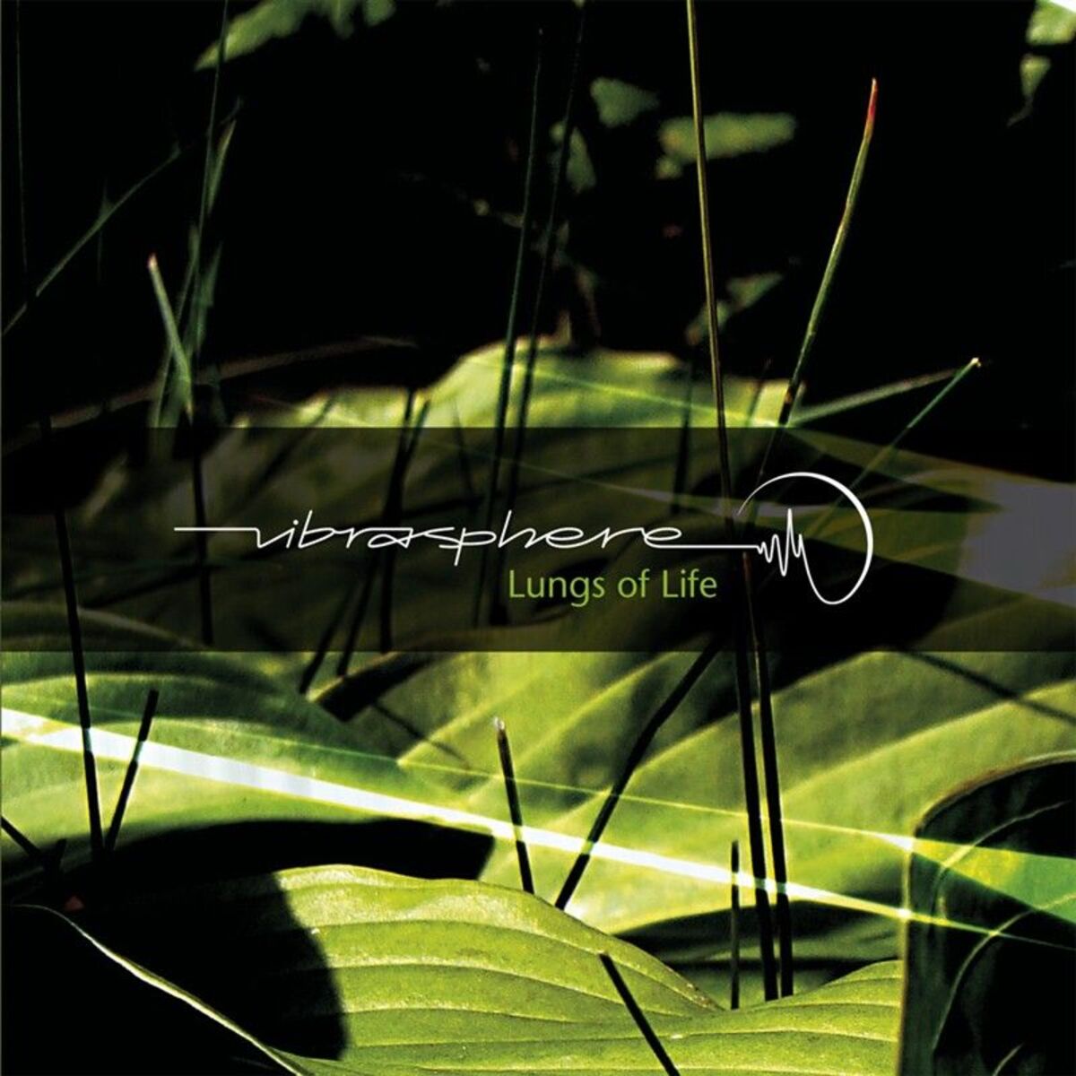 Album cover of Lungs Of Life
