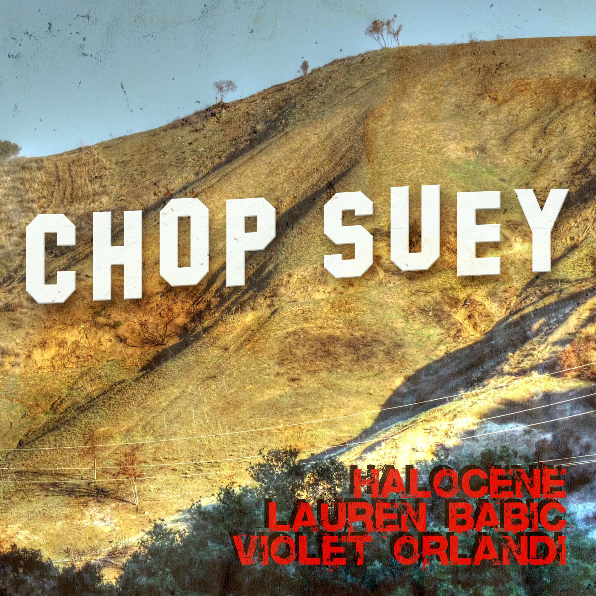 Album cover of Chop Suey