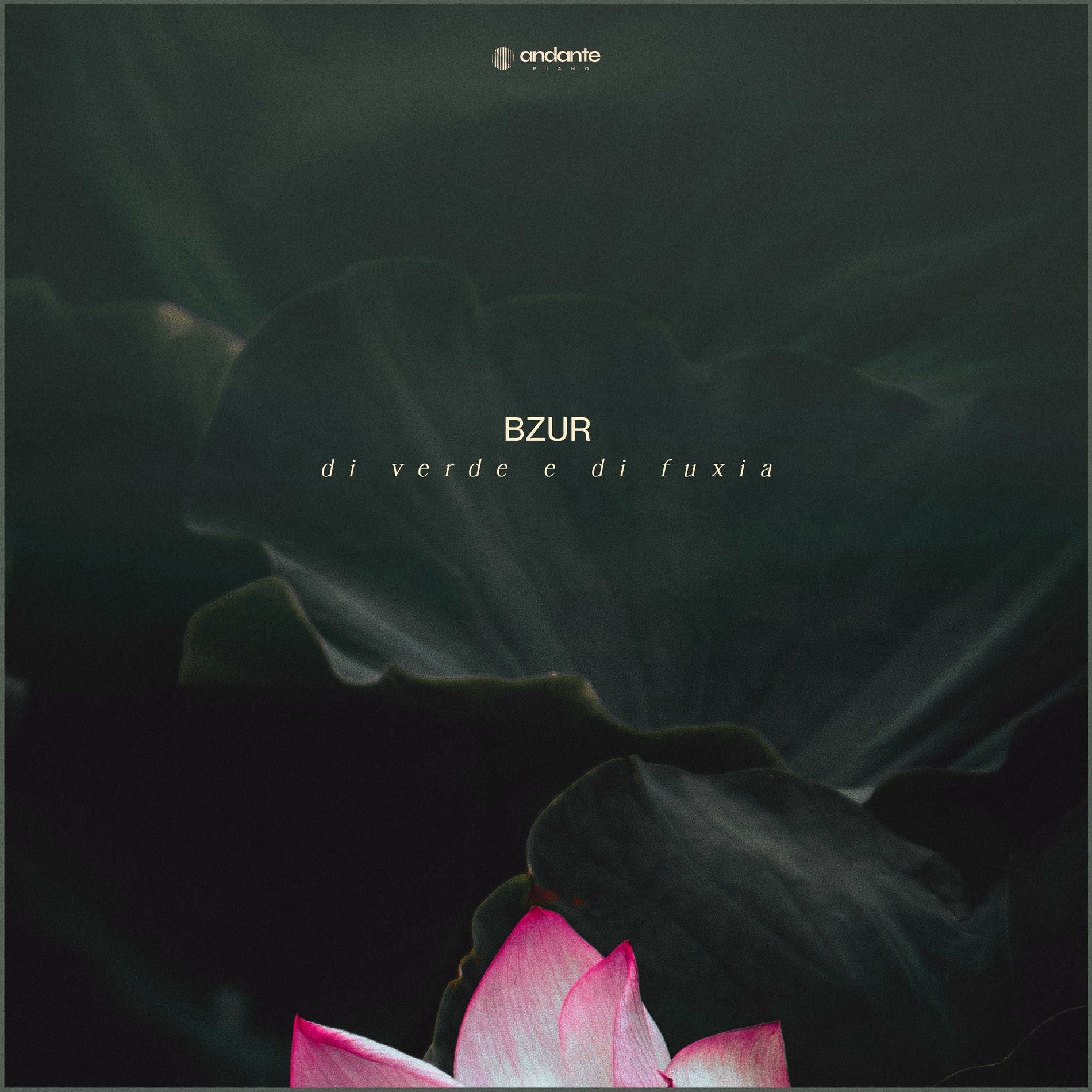 Album cover of Di Verde E Di Fuxia