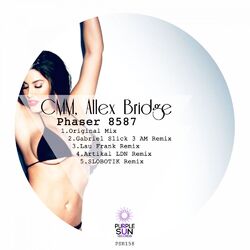 Cover of Phaser 8587