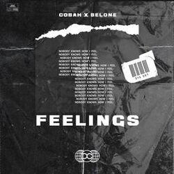 Cover of Feelings