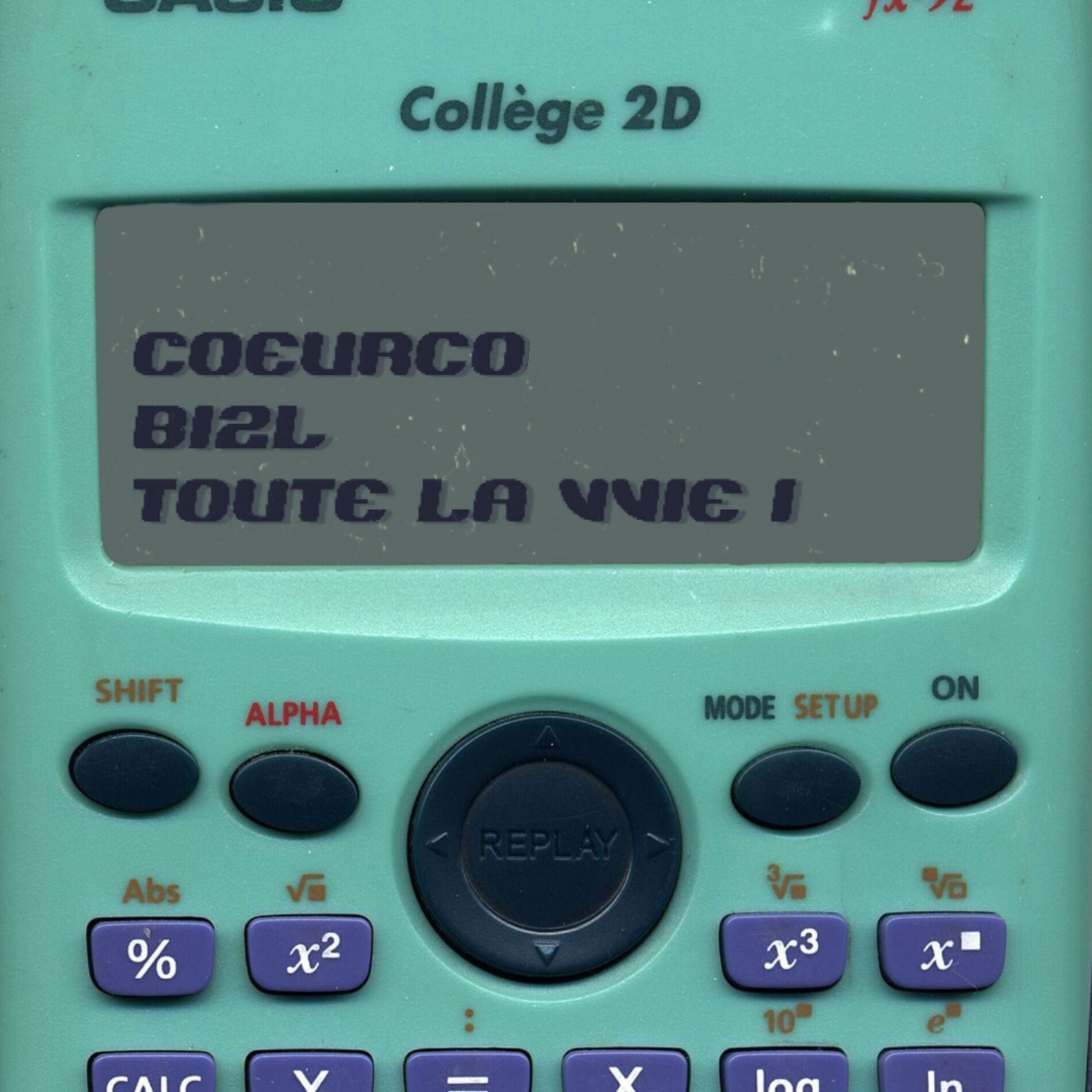 Album cover of TOUTE LA VVIE !