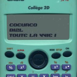 Cover of TOUTE LA VVIE !