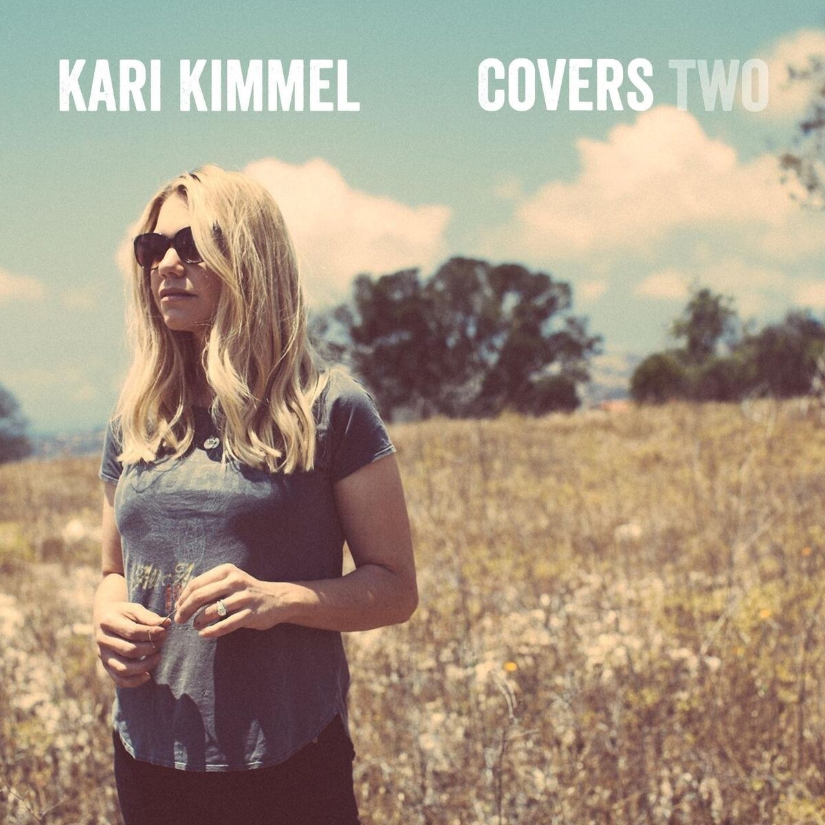 Album cover of Covers Two