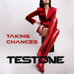 Cover of Taking Chances