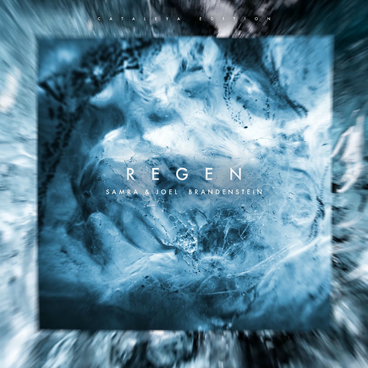 Album cover of Regen