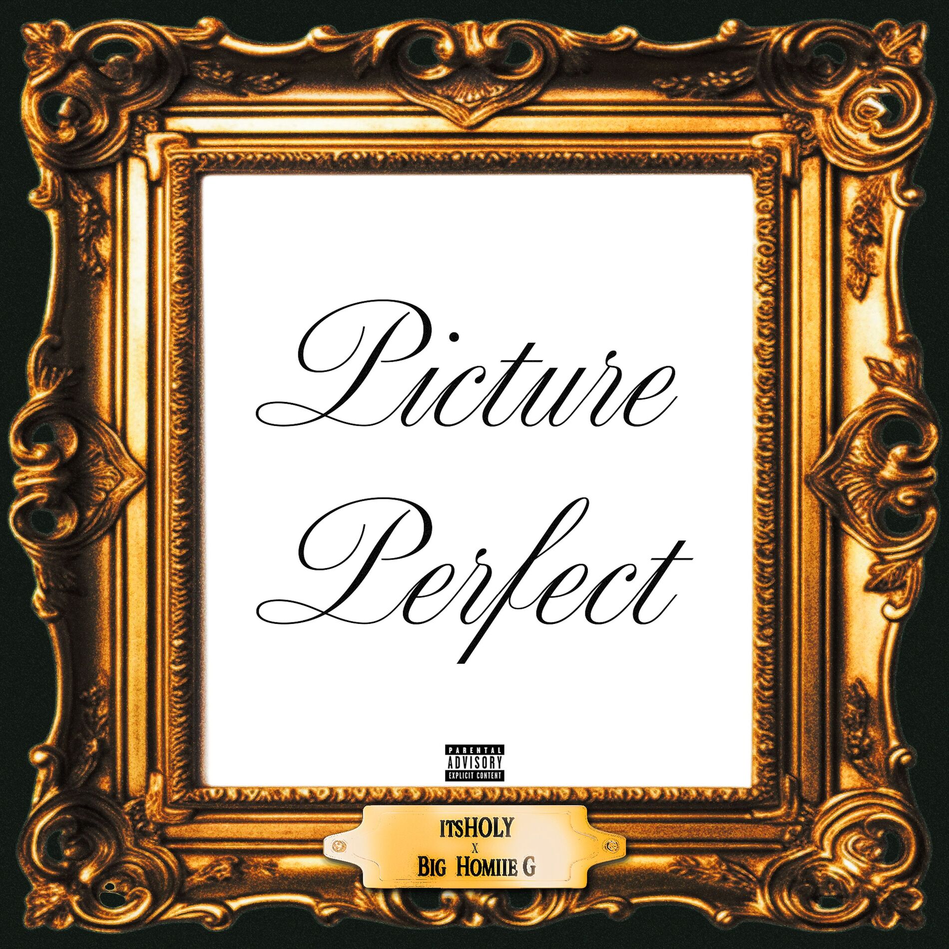 Album cover of Picture Perfect (feat. Big Homiie G)