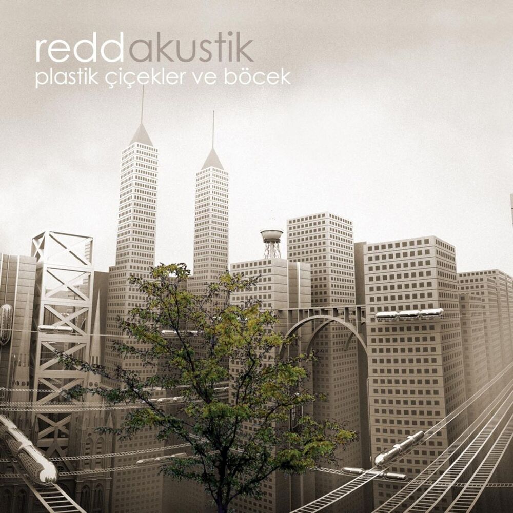 Picture of Plastik Çiçekler ve Böcek (Akustik)