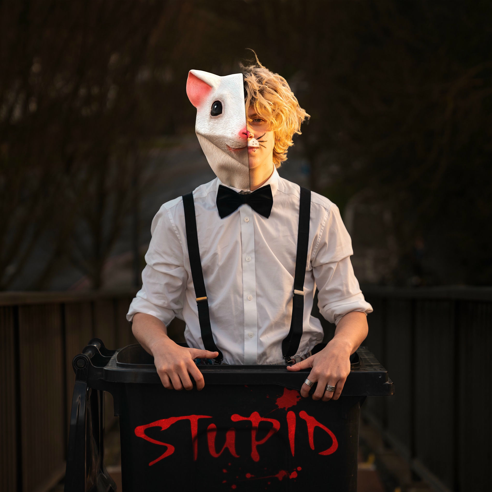 Album cover of STUPID