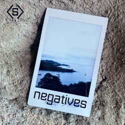 Cover of Negatives