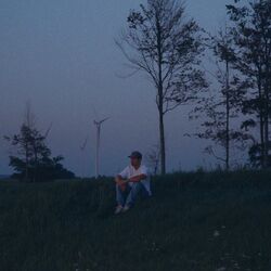 Cover of Blue Nights