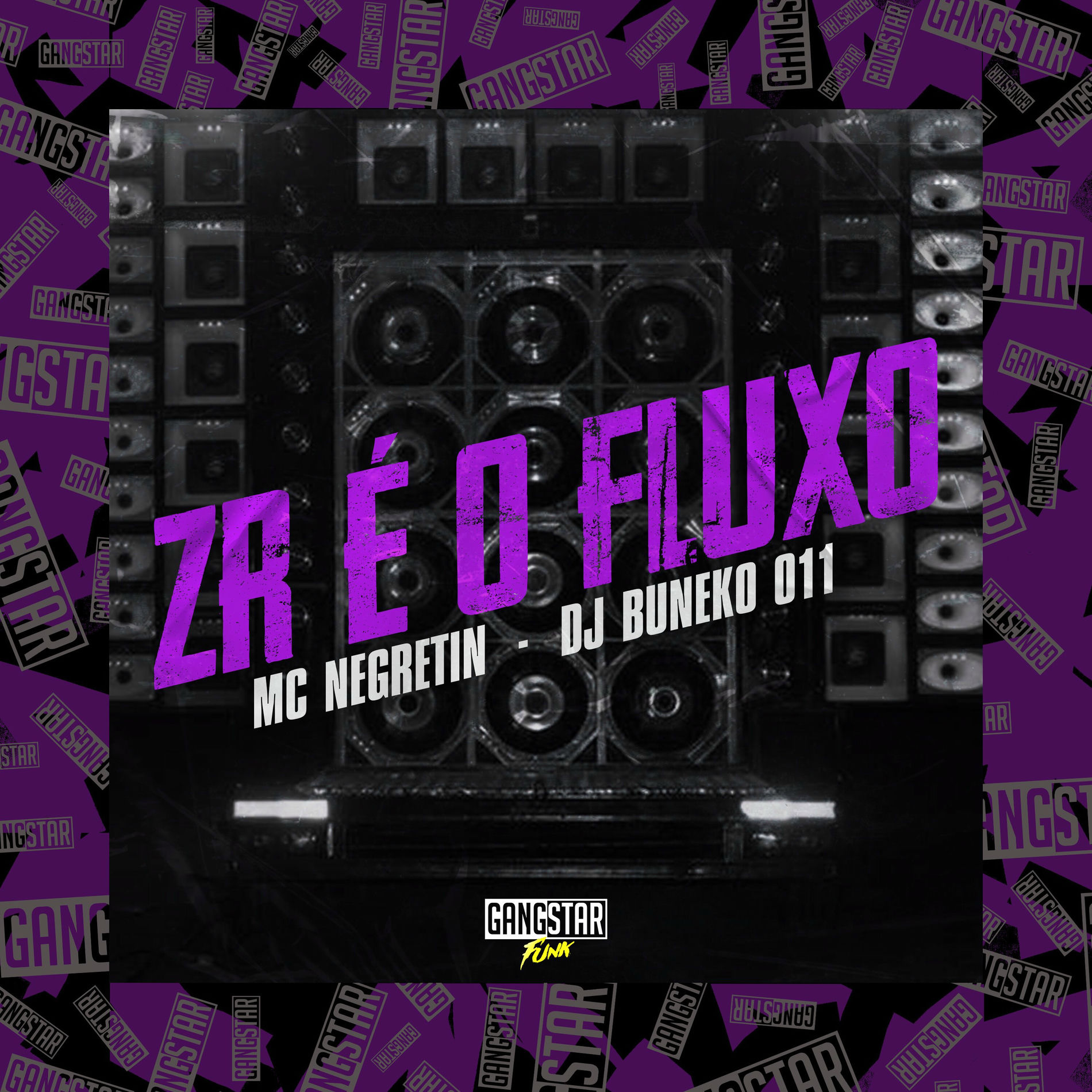 Album cover of Zr É o Fluxo