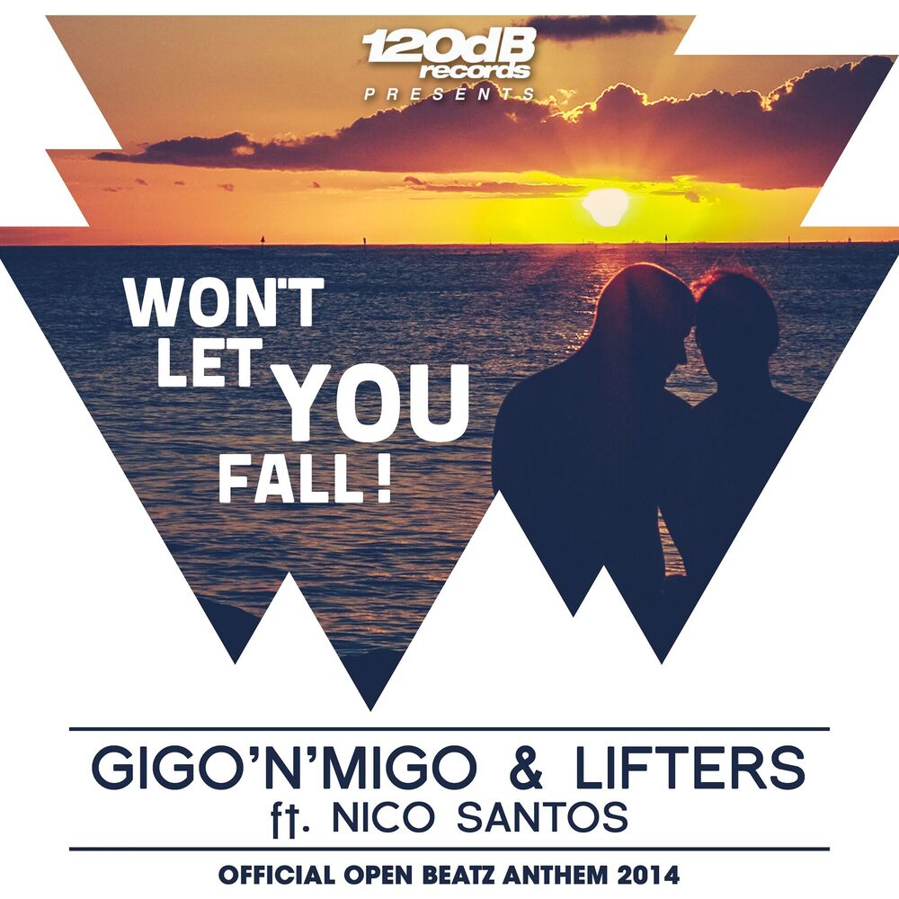 Picture of Won't Let You Fall