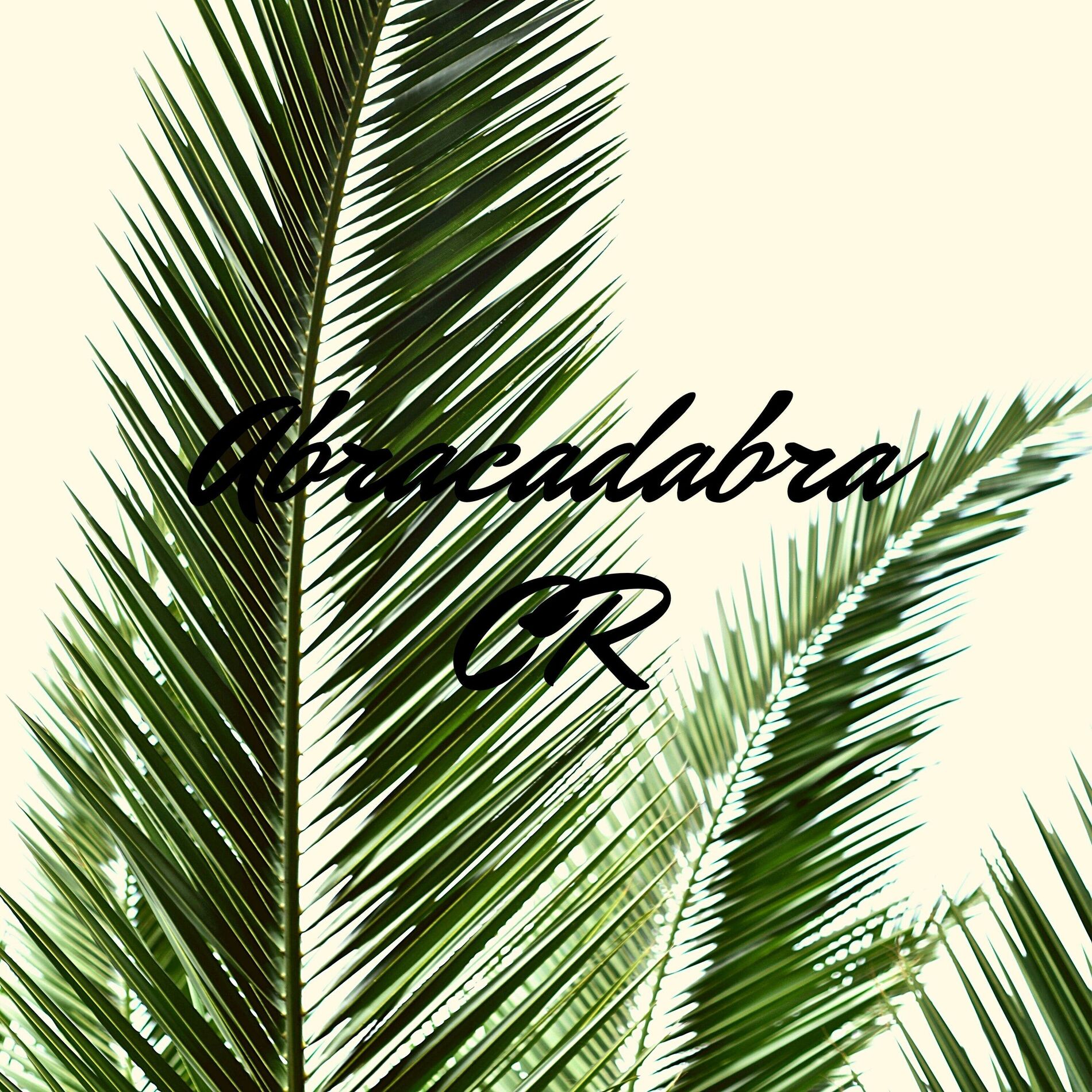 Album cover of Abracadabra CR