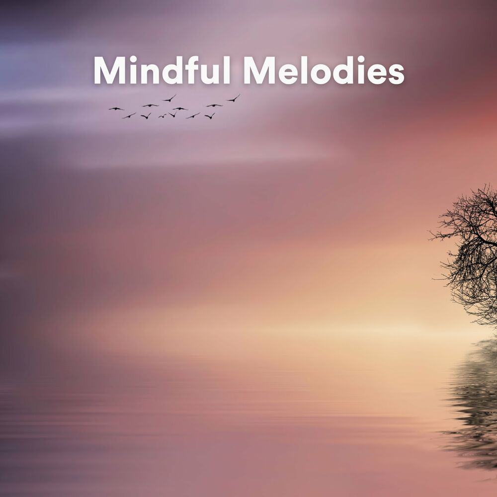 Picture of Mindful Melodies