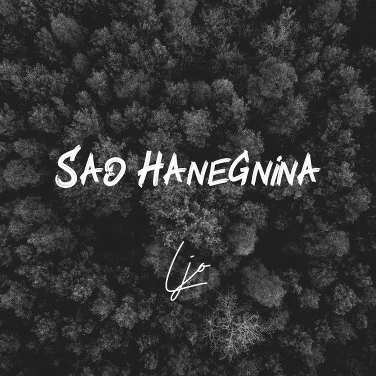 Album cover of Sao Hanegnina