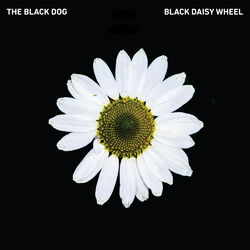 Cover of Black Daisy Wheel