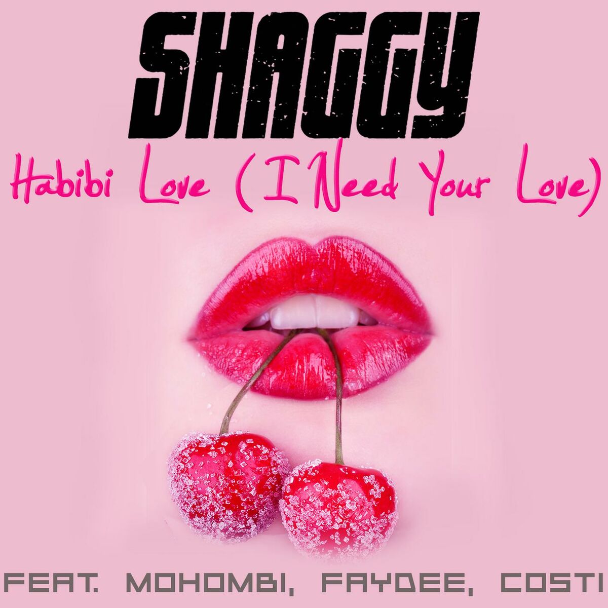 Album cover of Habibi Love (I Need Your Love) (feat. Mohombi, Faydee & Costi)