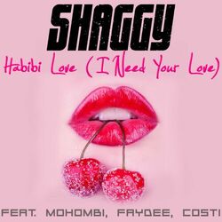 Cover of Habibi Love (I Need Your Love) (feat. Mohombi, Faydee & Costi)
