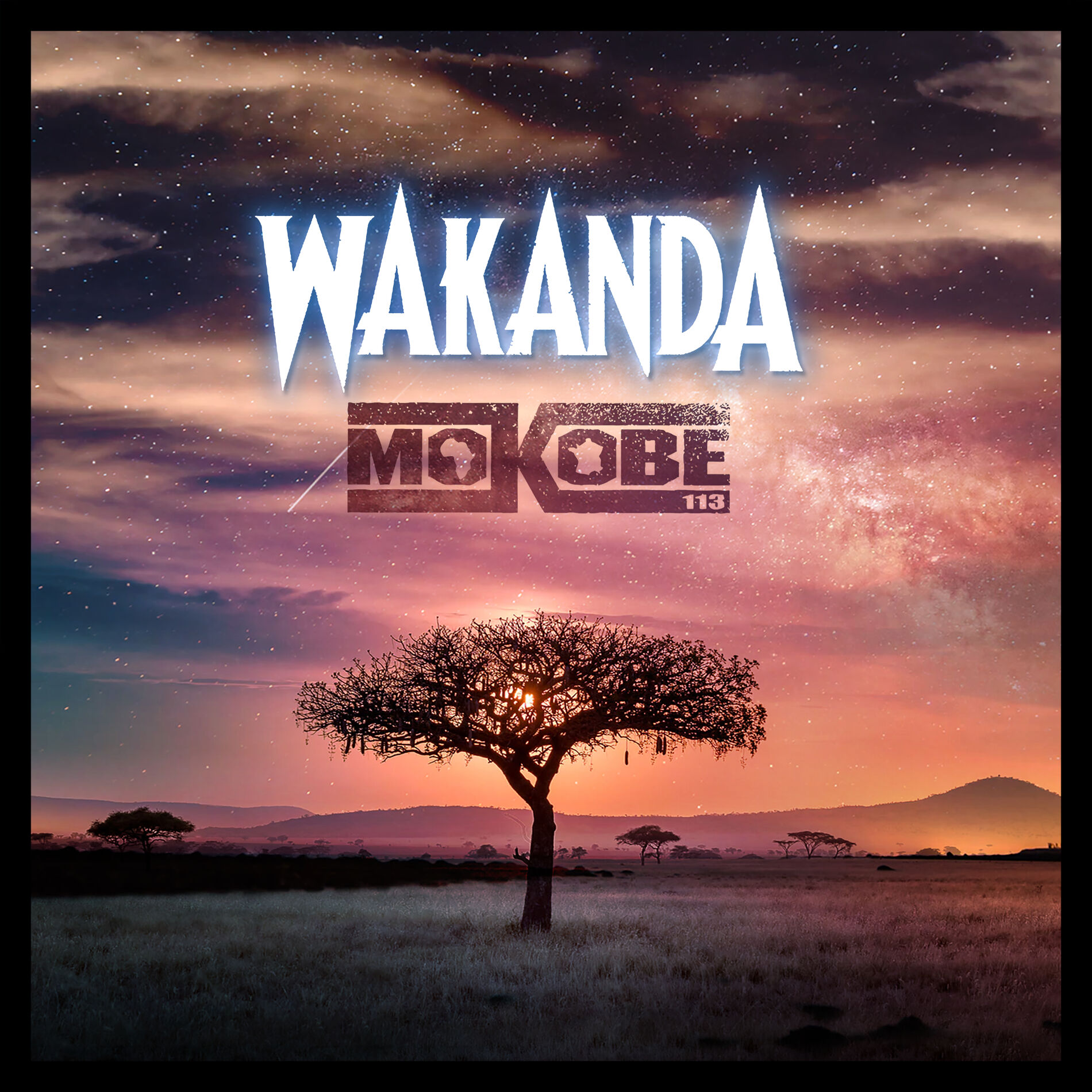 Album cover of Wakanda