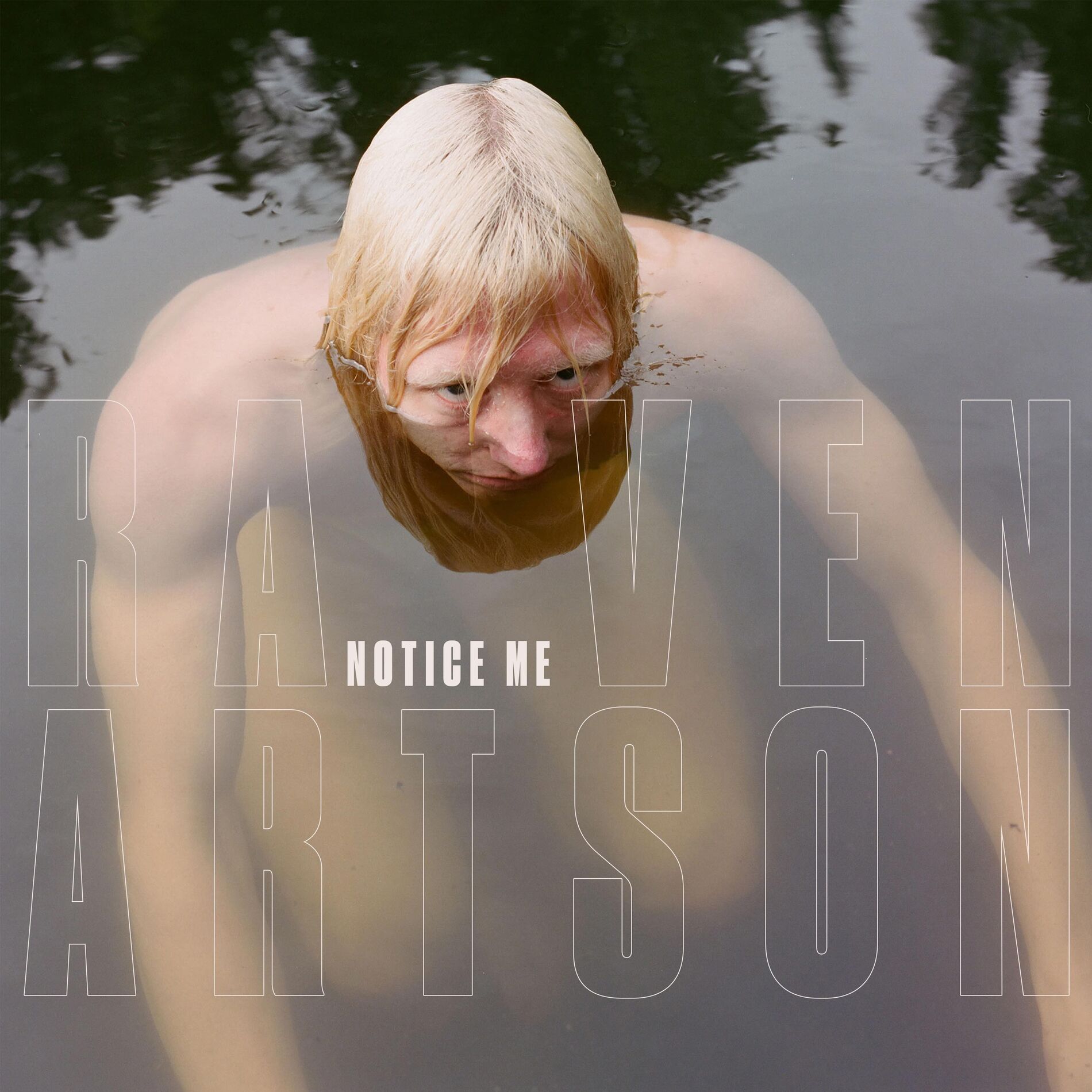 Album cover of notice me