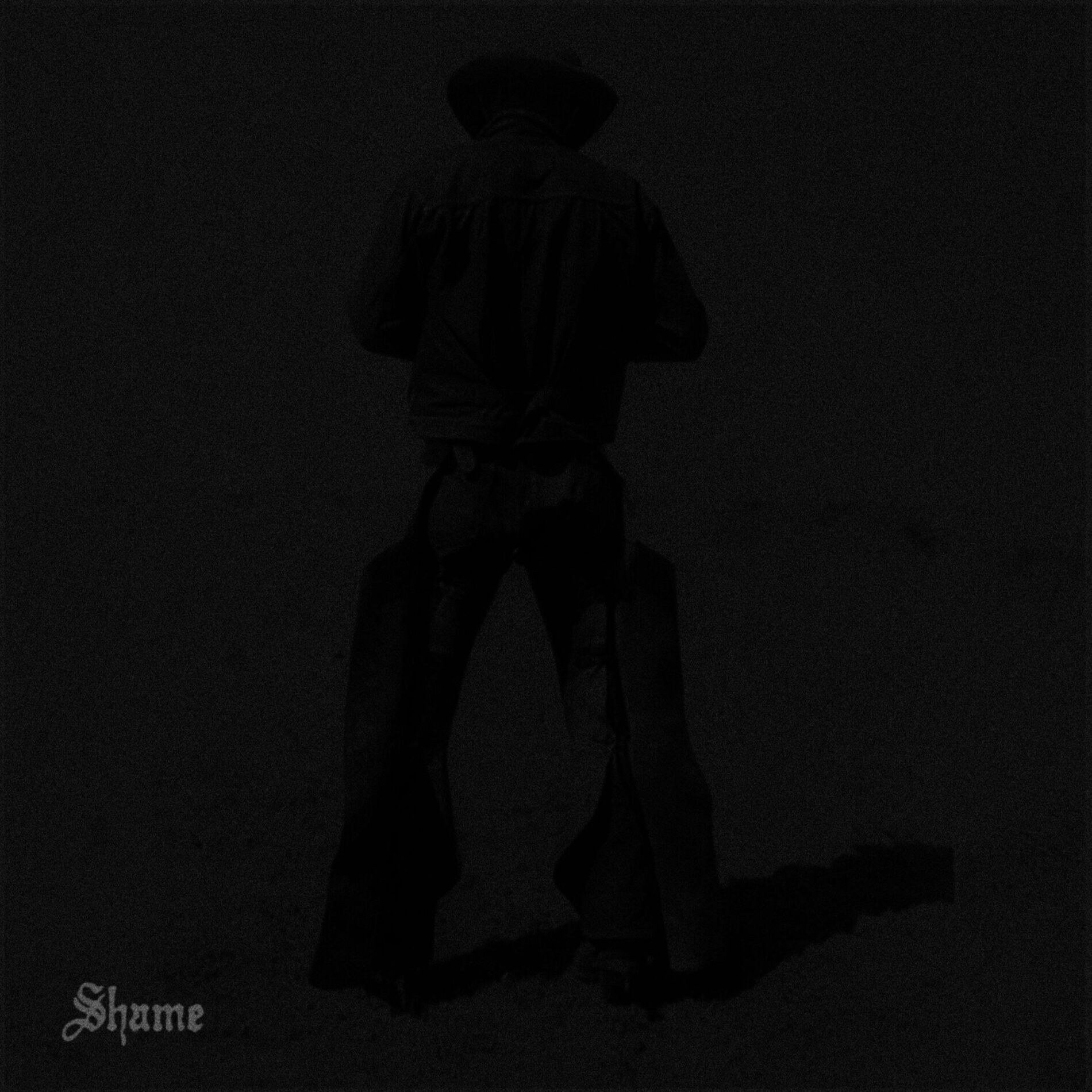 Album cover of Shame