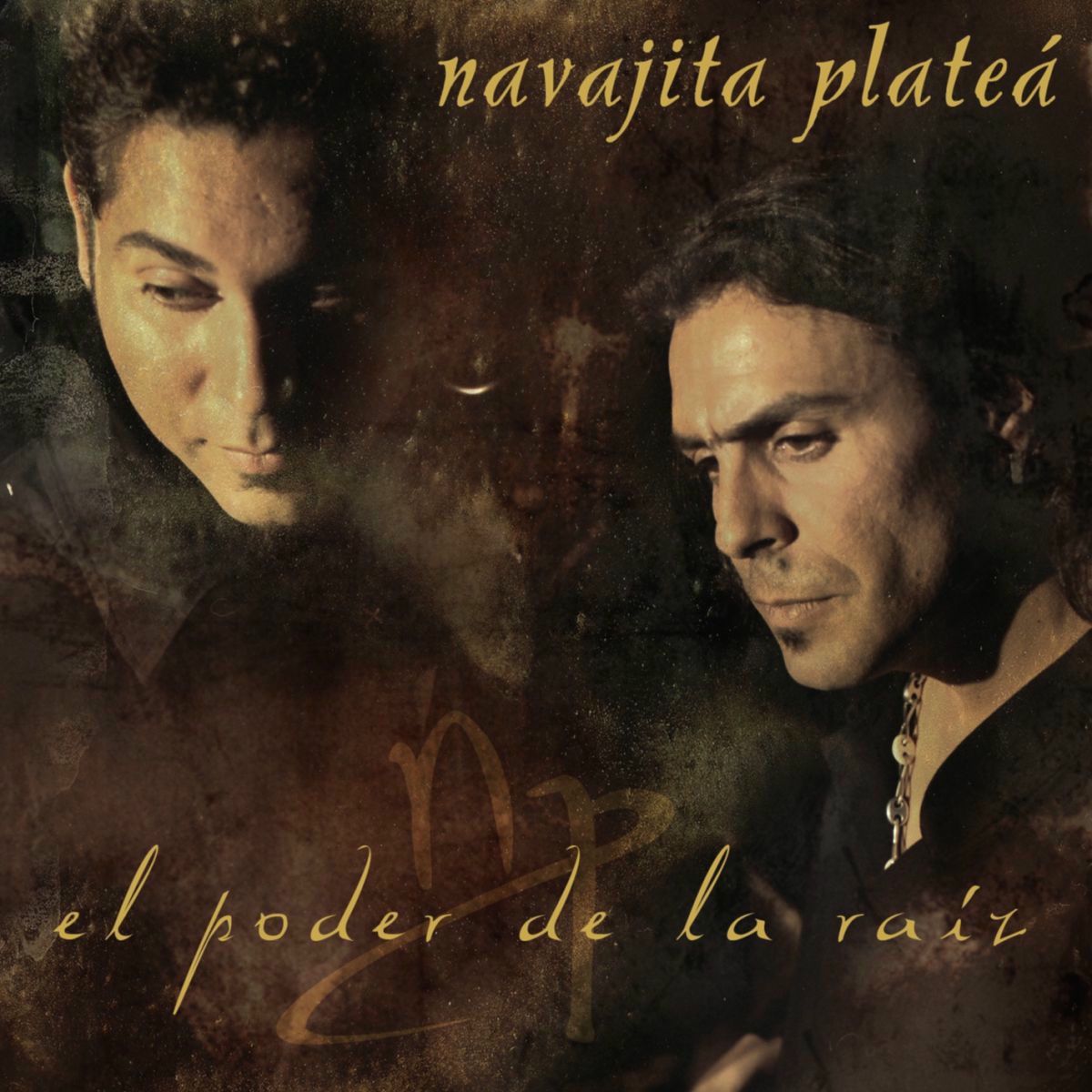 Album cover of El Poder De La Raíz