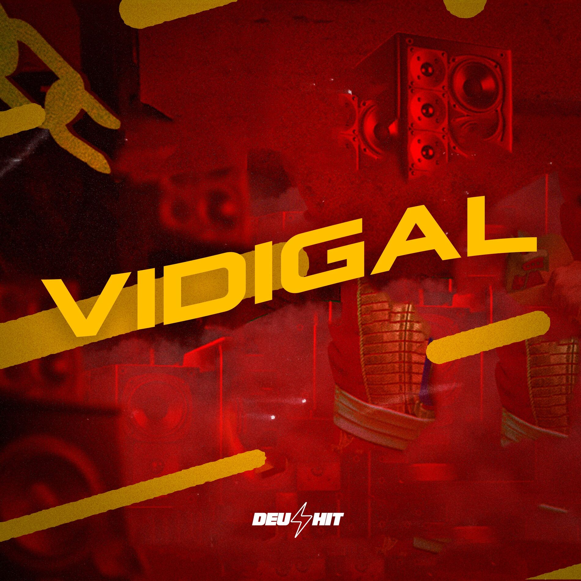 Album cover of Vidigal