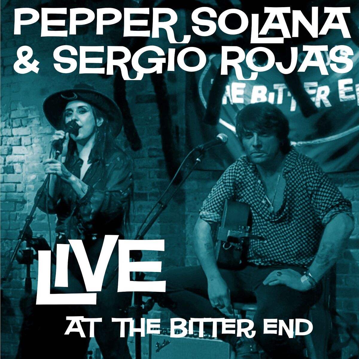 Album cover of Live at the Bitter End