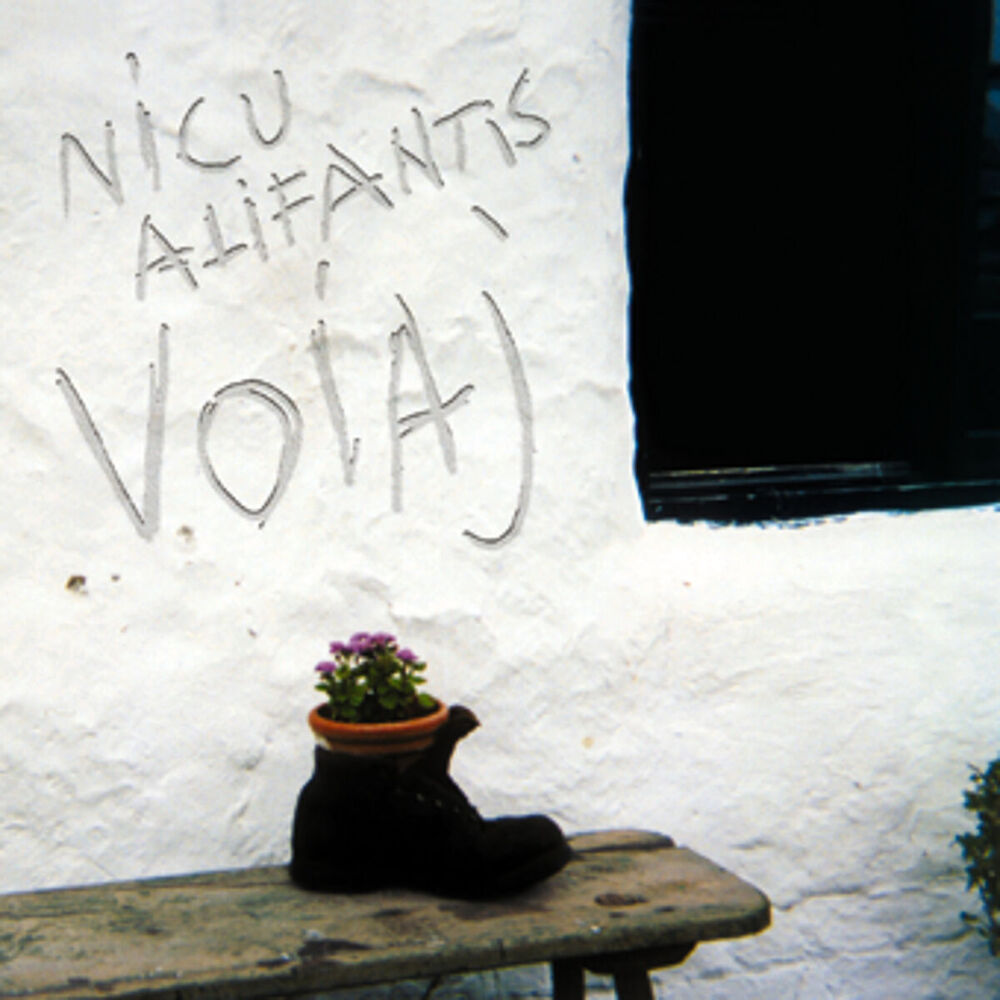 Picture of Voiaj