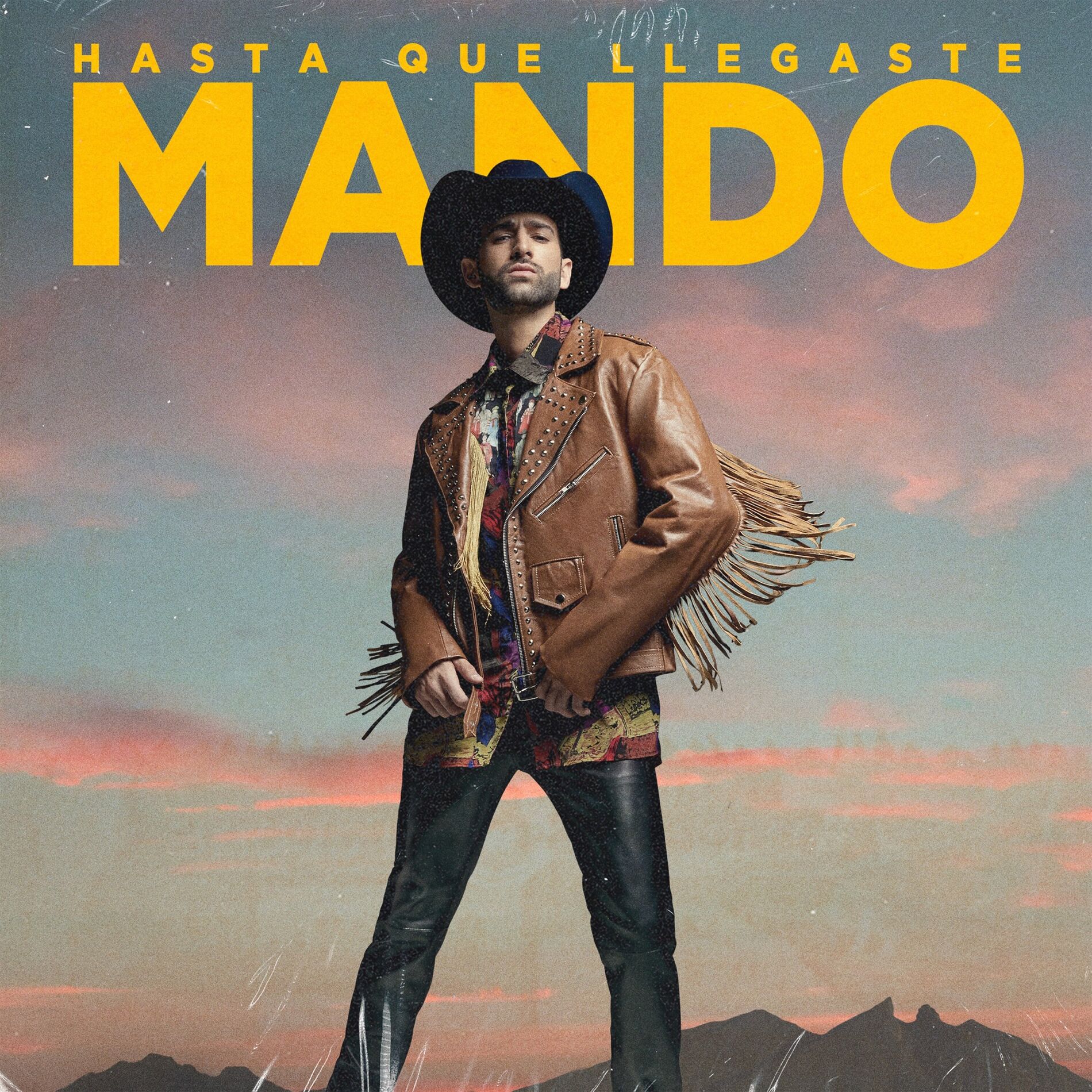 Album cover of Hasta Que Llegaste
