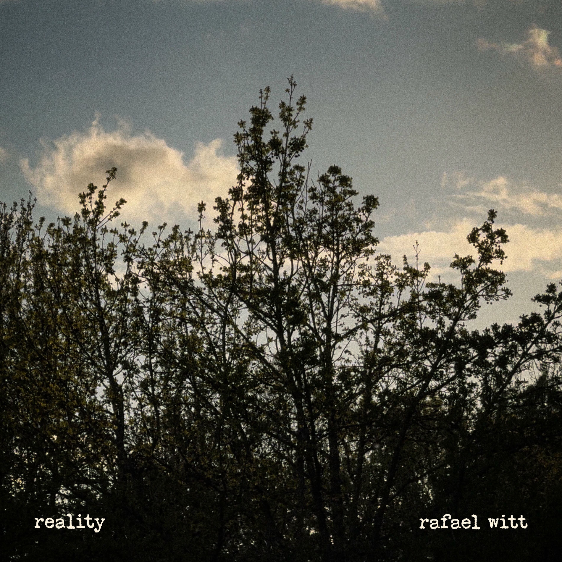 Album cover of Reality