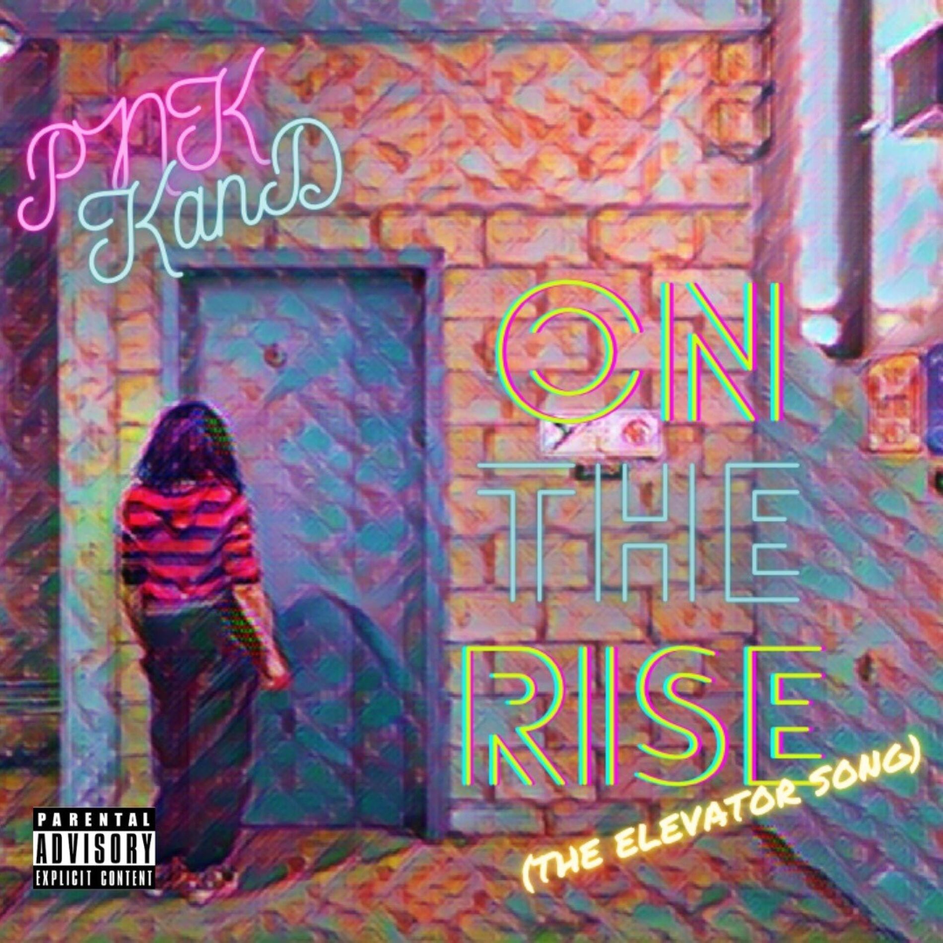 Album cover of On the Rise (The Elevator Song) (Music Video Version)
