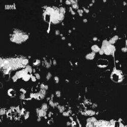 Cover of sneek