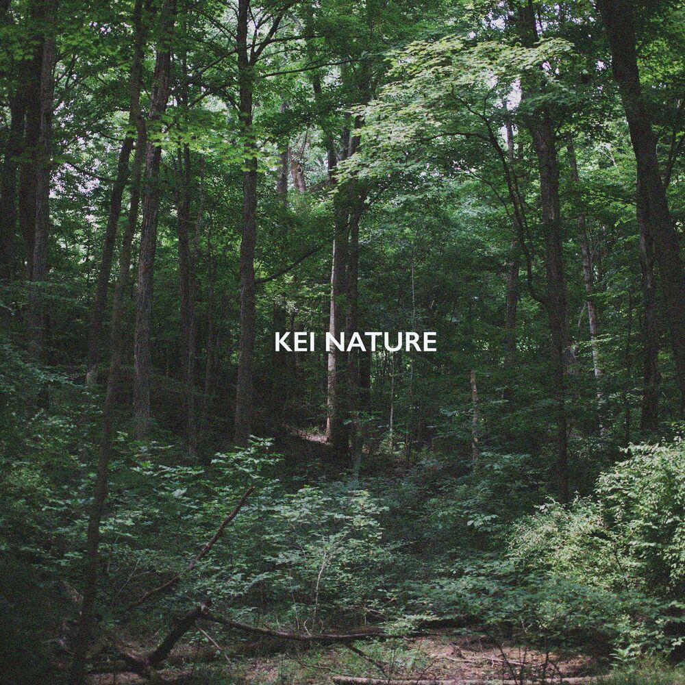 Picture of Forest Bird Sounds Vol. 1