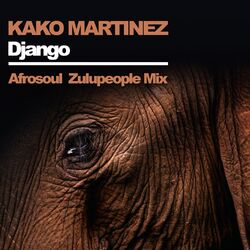 Cover of Django (Afrosoul Zulupeople Mix)