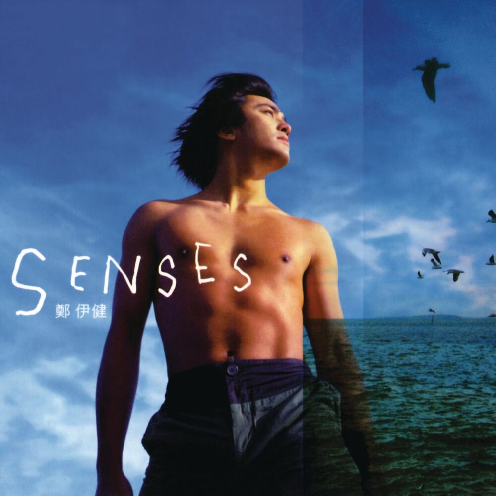 Picture of Senses