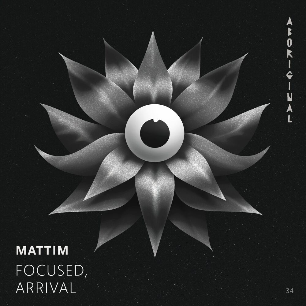 Picture of Focused / Arrival