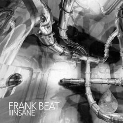 Cover of Insane