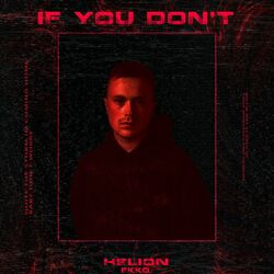 Cover of If You Don't