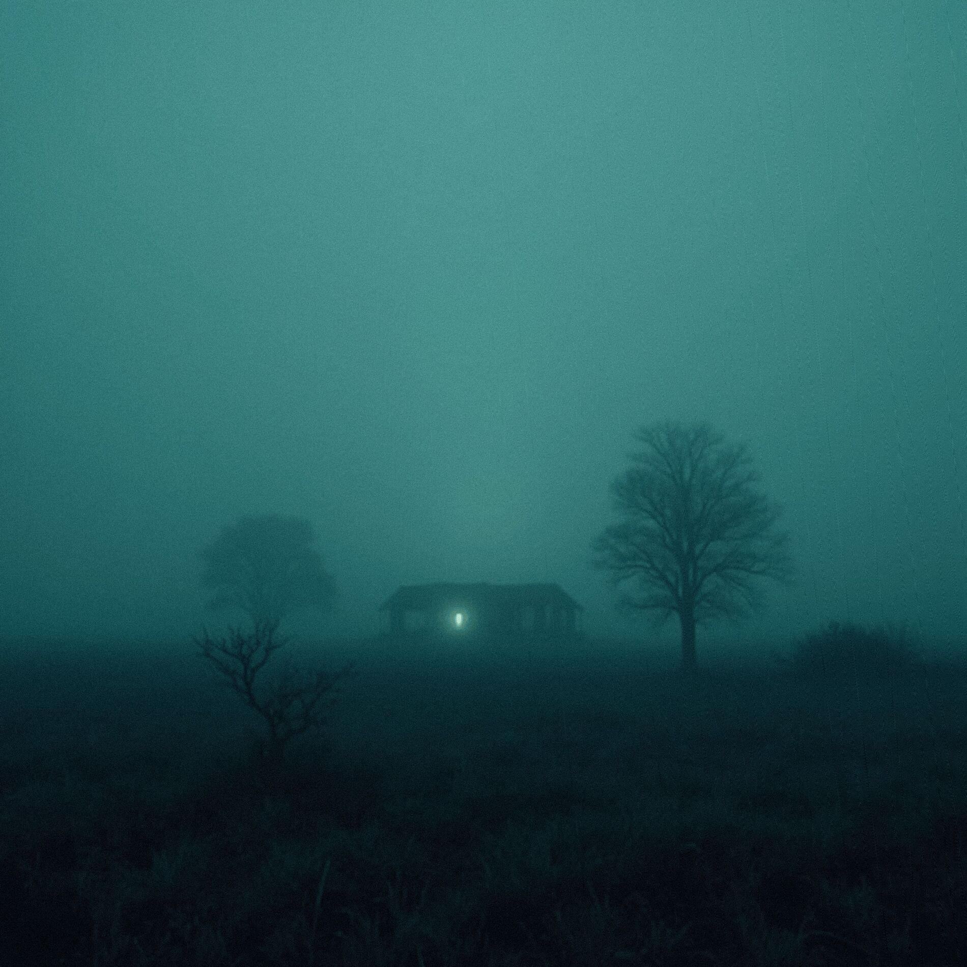 Album cover of Afterlife