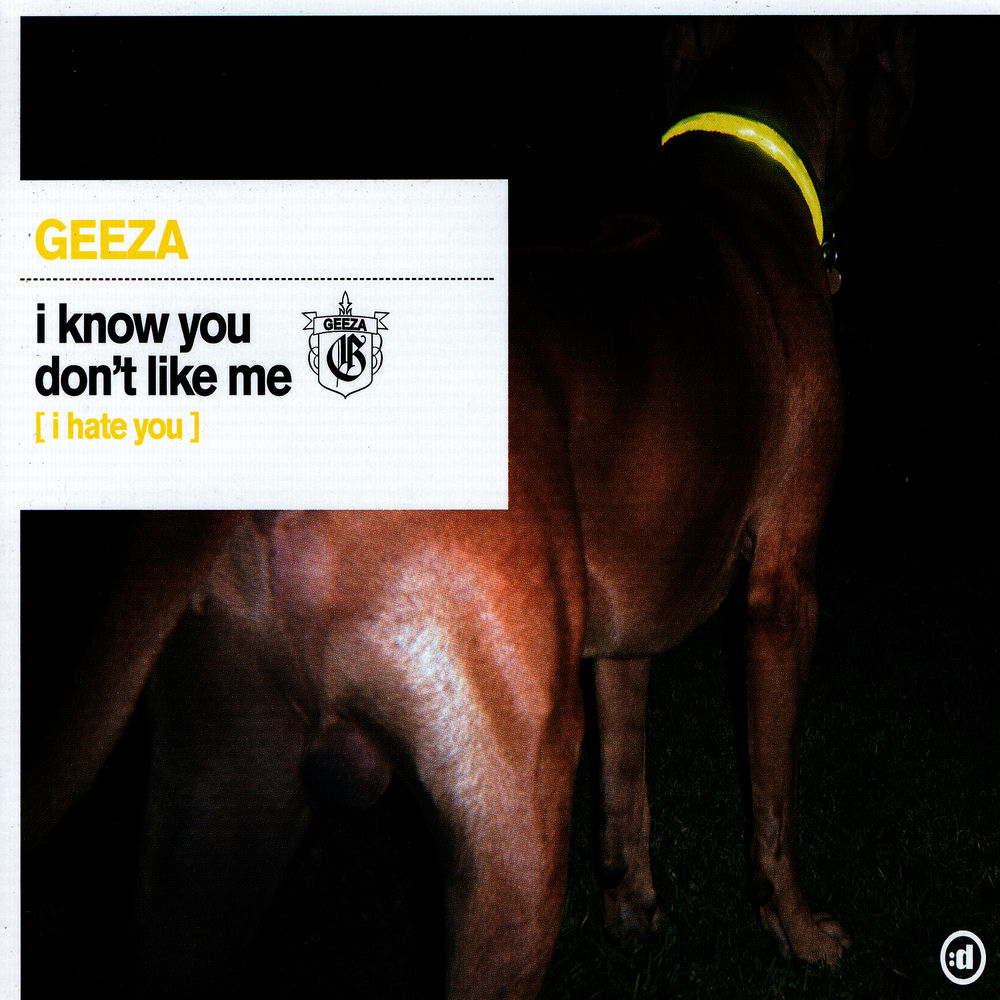 Album artwork for I Know You Don't Like Me (I Hate You) (Original Radio Edit) by Geeza