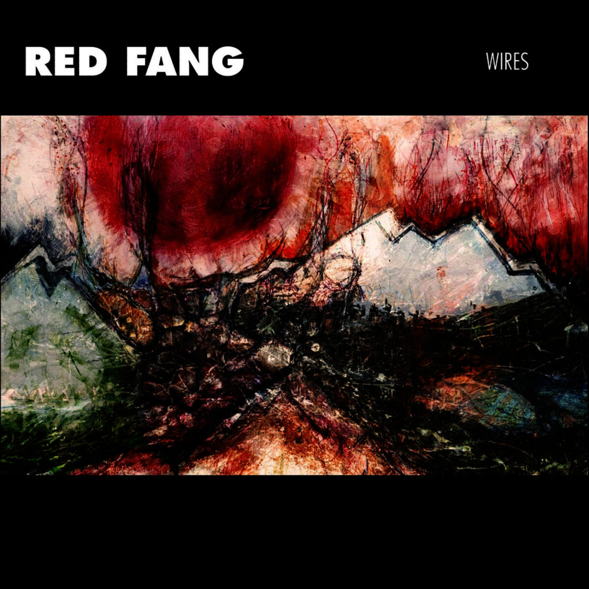 Album cover of Wires