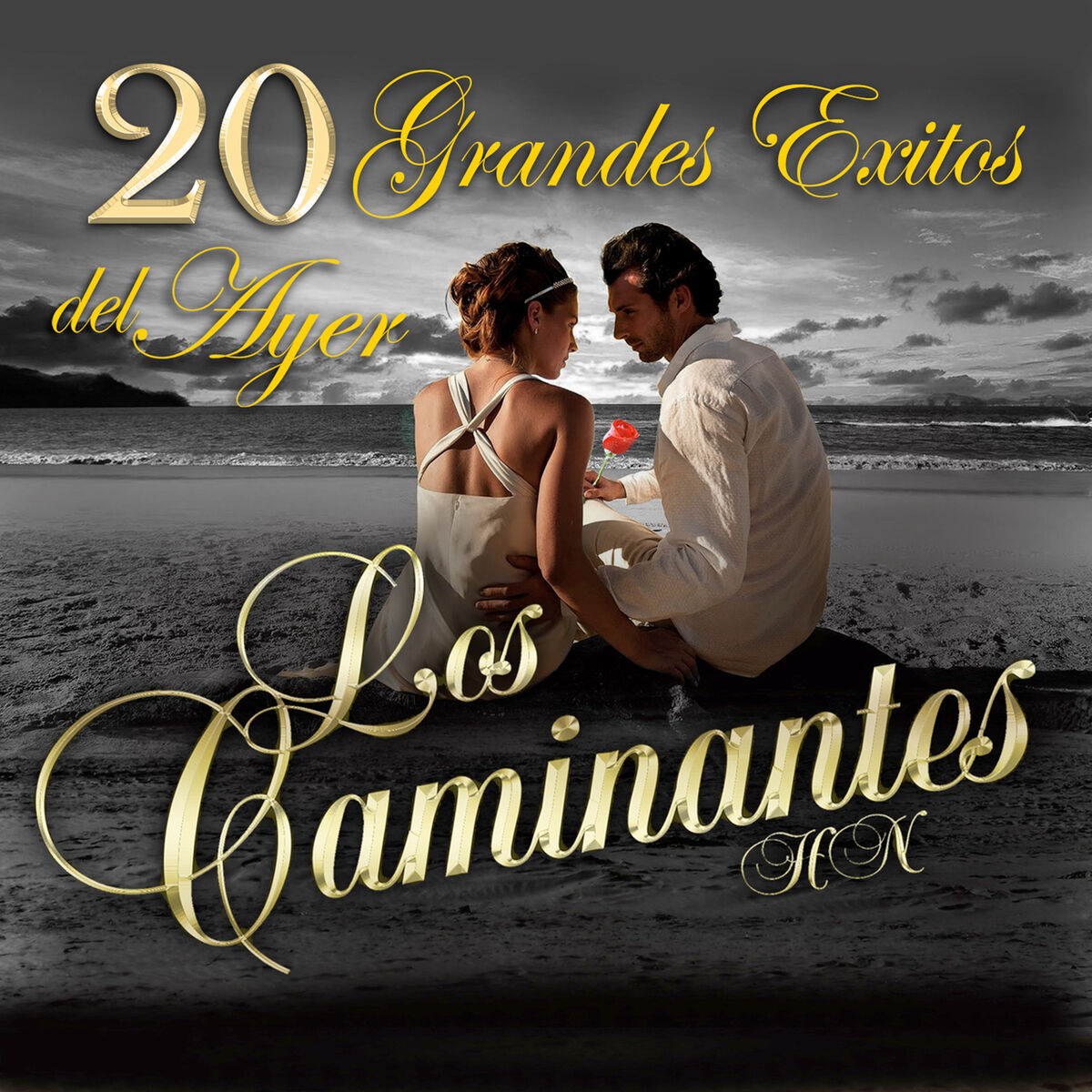 Album cover of 20 Grandes Exitos Del Ayer