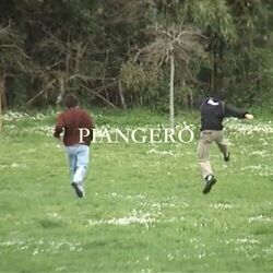 Cover of Piangerò